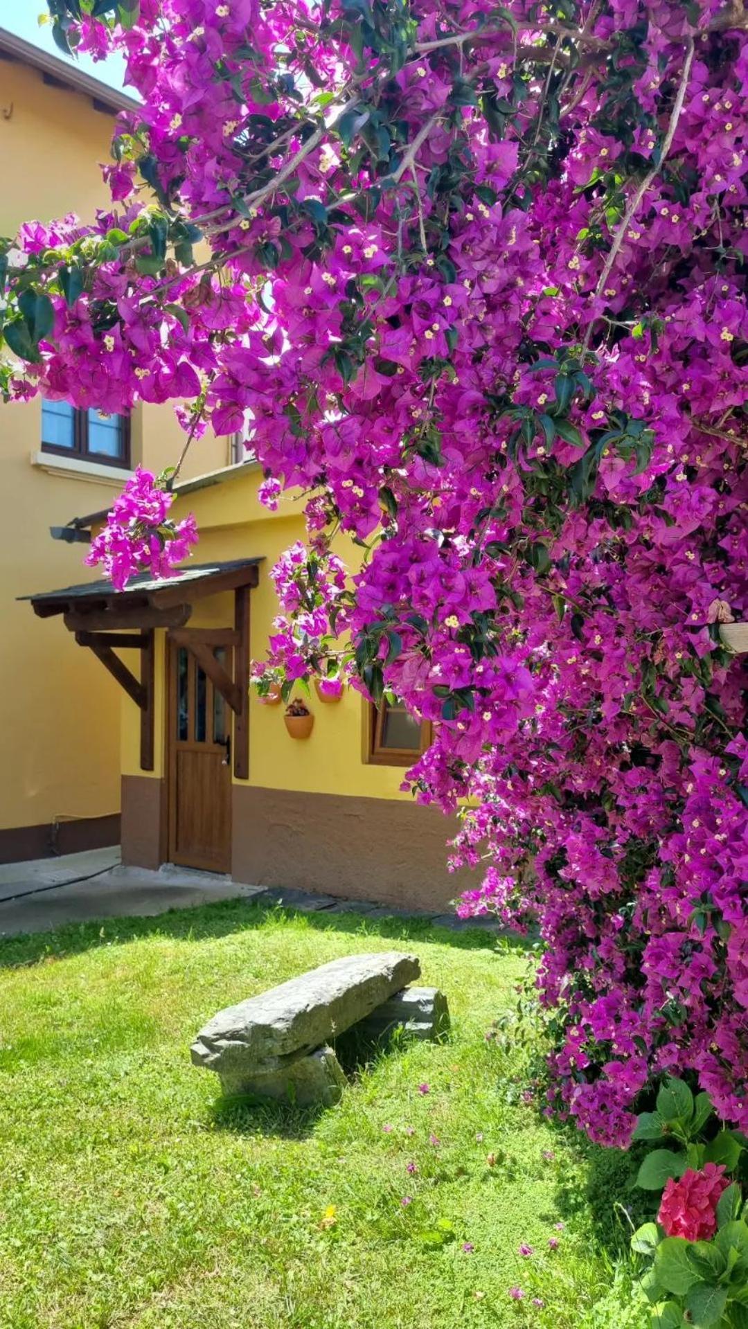 Appartamento La Quintana De Figares Luarca Esterno foto